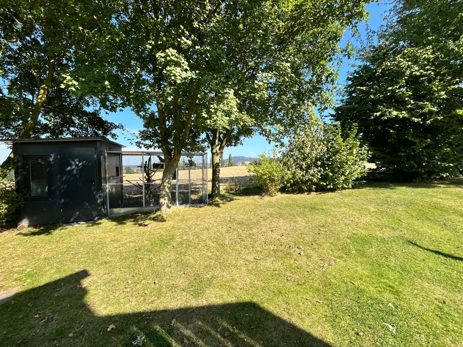 Garten mit Rasen, Bäumen und Gartenhaus